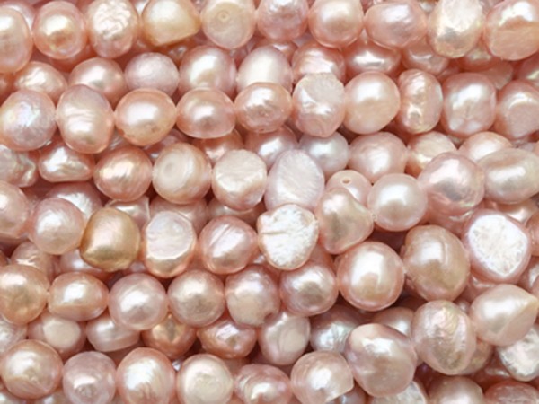 1 Strang Süßwasserperlen, 6x8 mm, puder